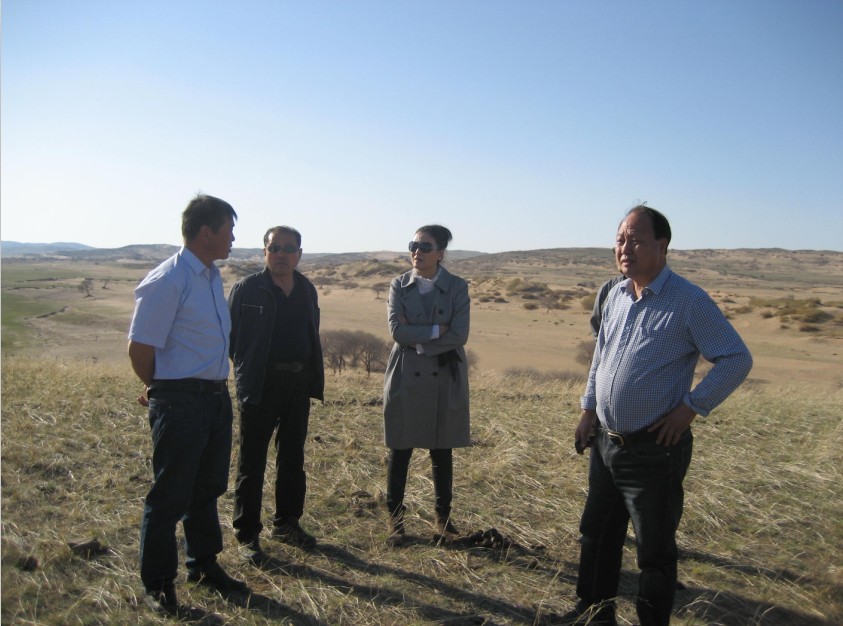 發(fā)揮資源優(yōu)勢(shì)，提高產(chǎn)業(yè)鏈競(jìng)爭(zhēng)力——協(xié)會(huì)為企業(yè)間的合作搭建平臺(tái)