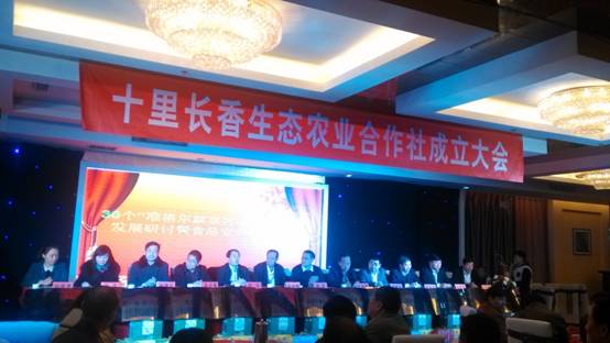 走過十里長川，拉開“十里長香”品牌的序幕