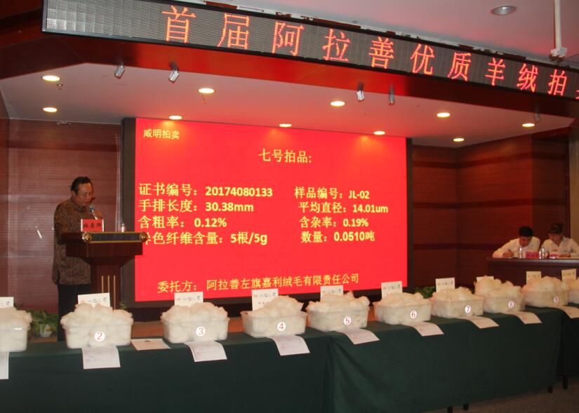 創(chuàng)新引領(lǐng)未來，品質(zhì)鑄就輝煌 首屆阿拉善優(yōu)質(zhì)羊絨拍賣會盛大舉行