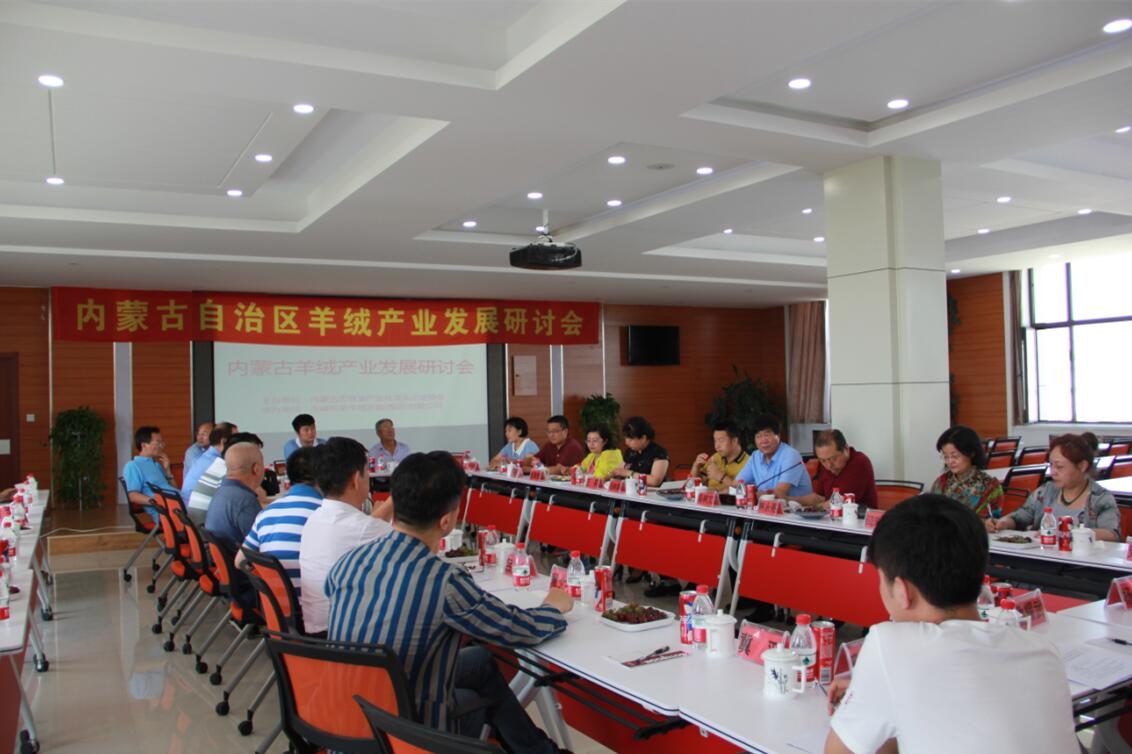 齊心協(xié)力，共謀內(nèi)蒙古羊絨產(chǎn)業(yè)發(fā)展新思路